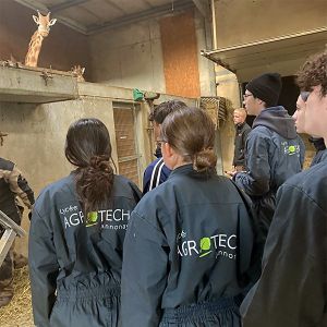 agrotech safari a